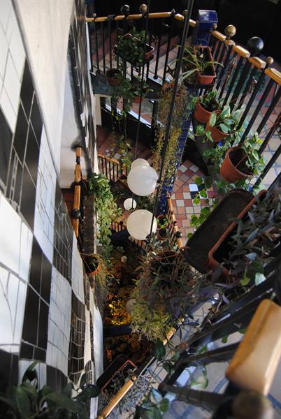 Spiral staircase with black railing, potted plants and spherical lamps