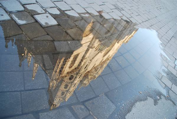 Viennese reflections