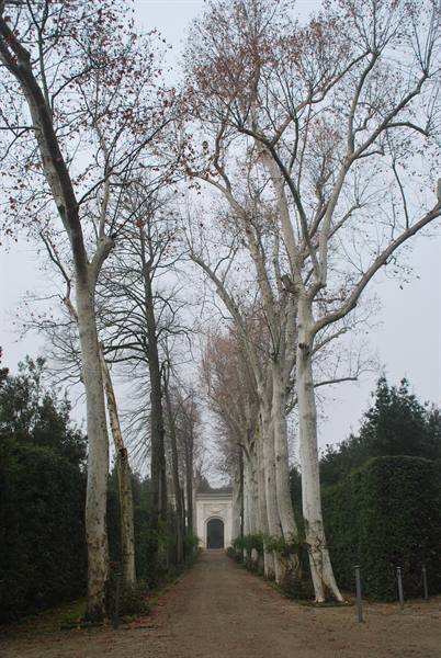 The Boboli Gardens