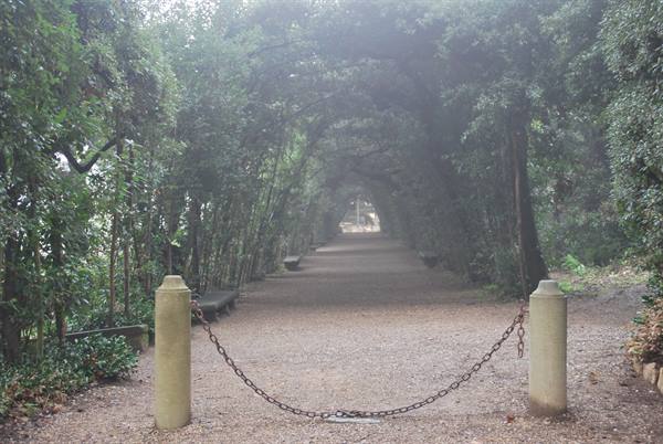 The Boboli Gardens