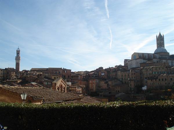 Siena rooftops with the Torre del Mangia and cathedral under a blue sky