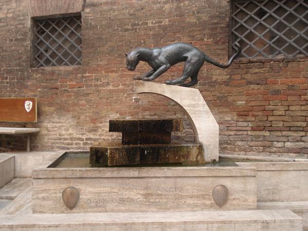 The Pantera contrada