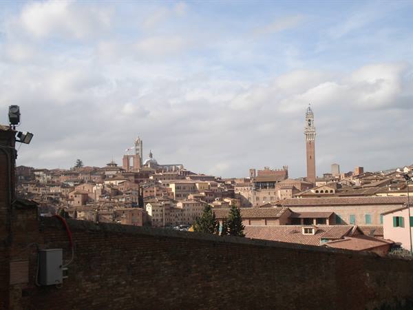 Siena rooftops with the Torre del Mangia and the Duomo among brick houses