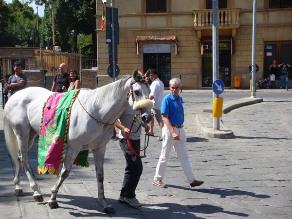 The unlucky Drago horse that will finish third but shaken