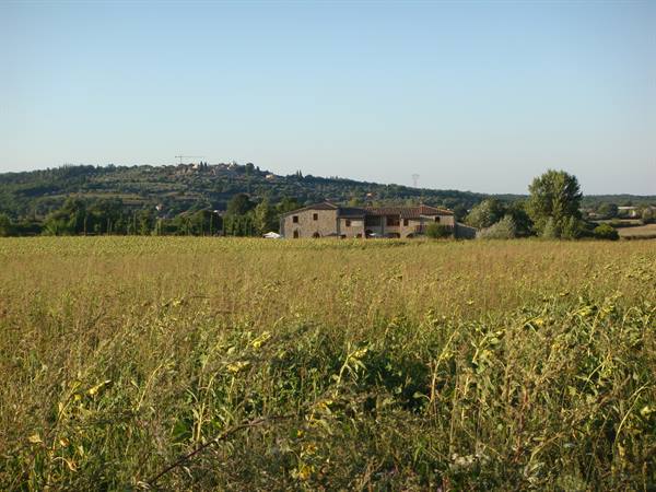The Sienese countryside