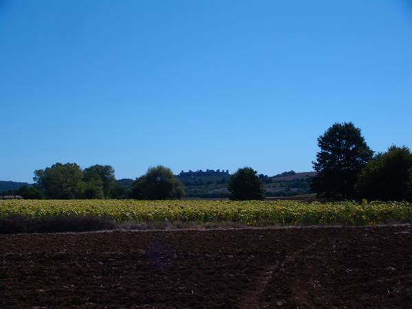 Views of the Sienese countryside