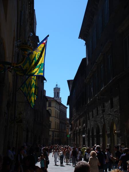 The Bruco contrada celebrates