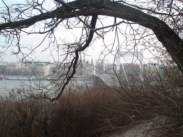 View from Gellert Hill