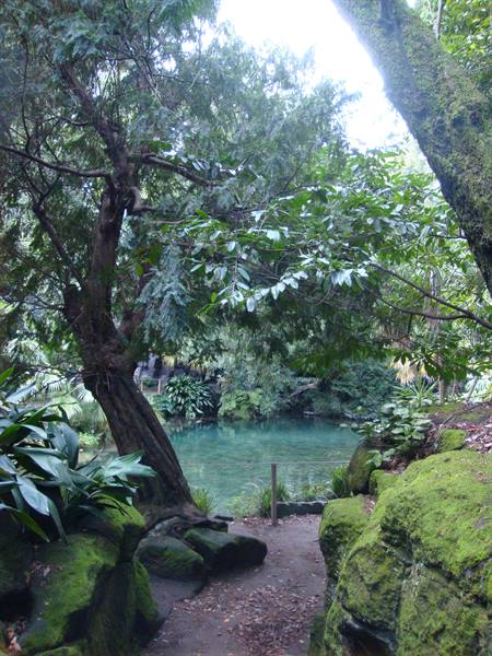 Hidden corners of the English garden