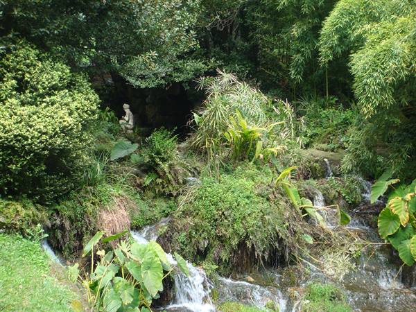 Venus's bath