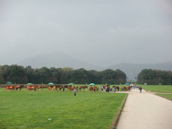 The carriages
