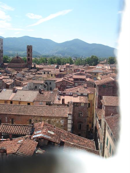 Lucca glimpses
