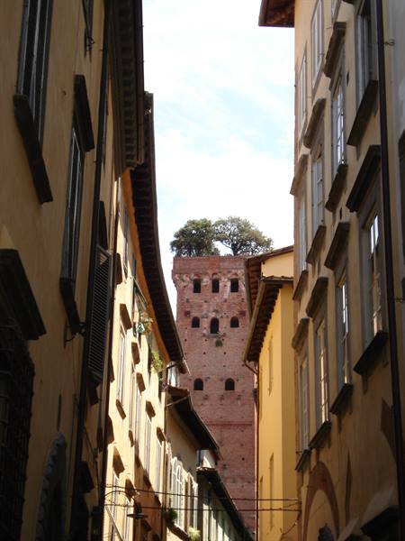 Alley between yellow facades toward Guinigi Tower with oaks on top, Lucca
