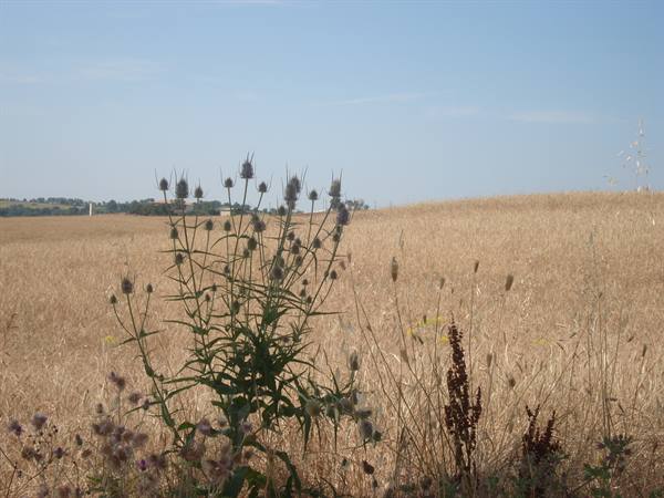 Spectacular glimpses of the Tuscan countryside