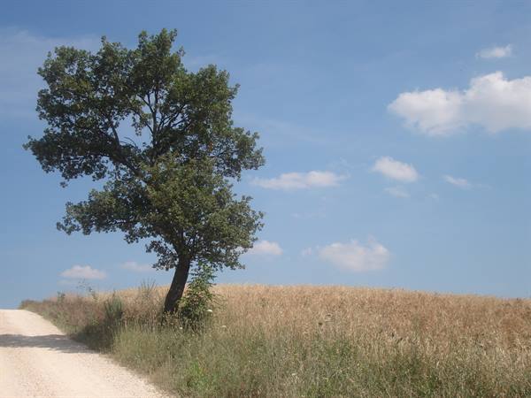 Spectacular glimpses of the Tuscan countryside