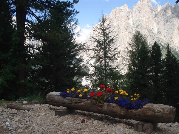 Postcards from the Catinaccio