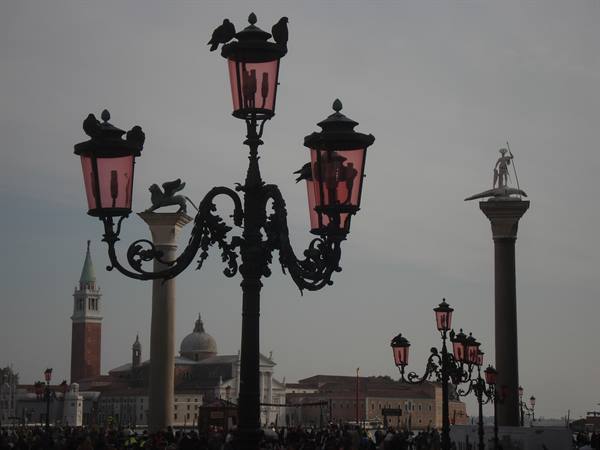 Pink lanterns with pigeons, San Marco columns and bell tower in background