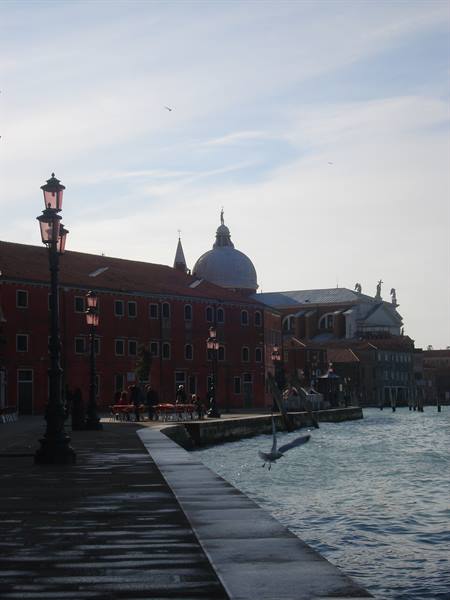 Seagull flying over wet promenade, red buildings and domed church by the lagoon