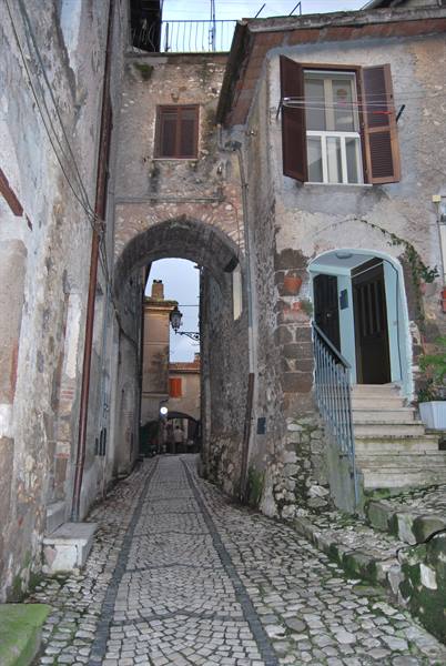 Cobblestone alley with stone arch between old houses