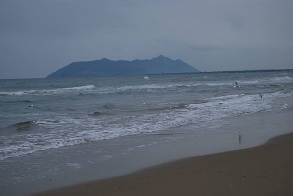 Seagulls flying among the waves on the beach, Argentario in the background