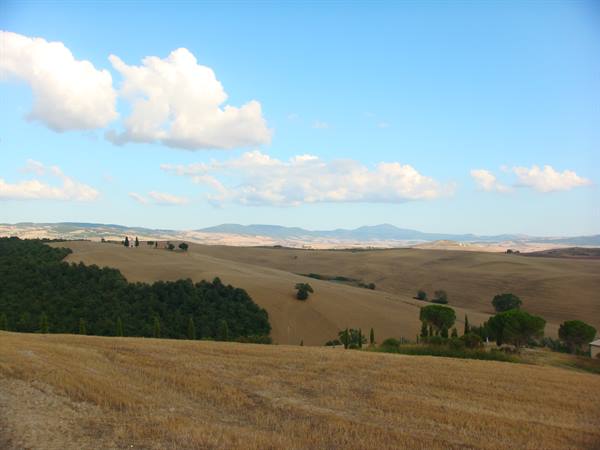 Golden ploughed hills and cypresses in Val d'Orcia, near San Quirico d'Orcia