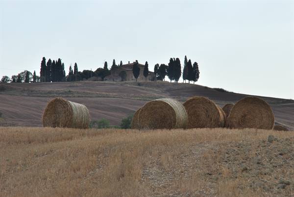 Hay bales in the stubble field before the cypress-lined farmhouse, Val d'Orcia