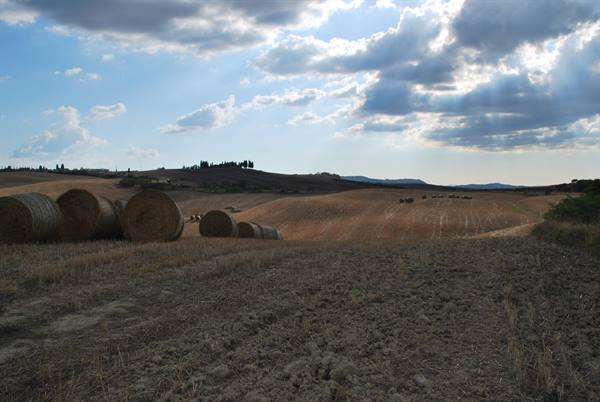 Hay bales on plowed Val d'Orcia hills beneath drifting clouds