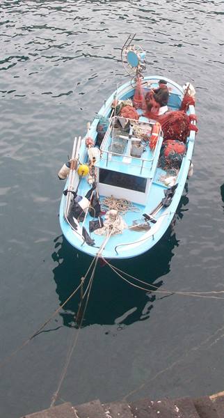 Mending the nets