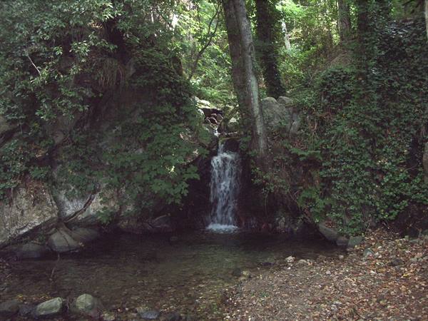 Small waterfall among rocks and ivy in a green forest