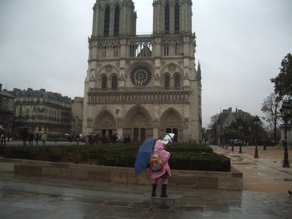 Tourist with blue umbrella in front of Notre-Dame under gray sky