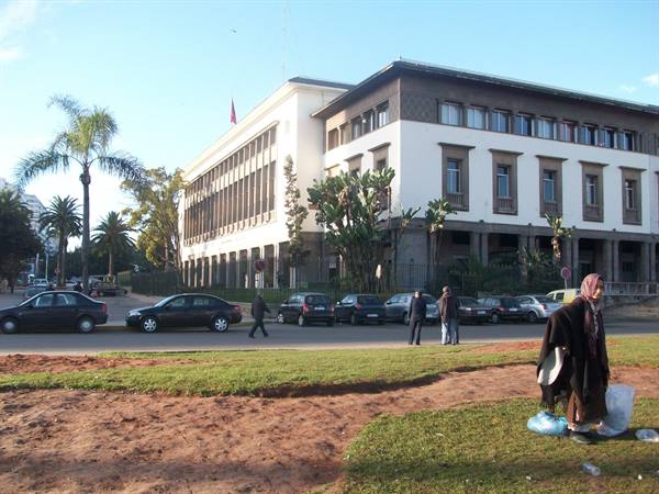 Woman with plastic bags on grass in front of white building with palms and parked cars