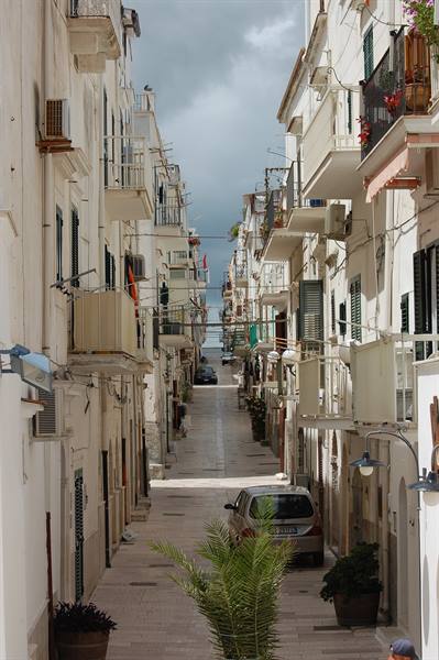 vieste