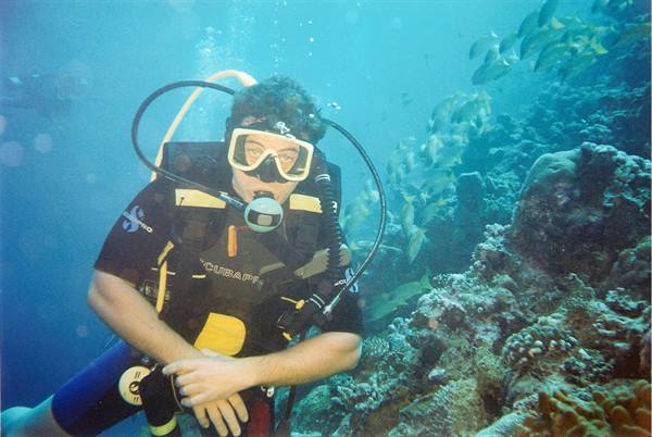 Scuba diver with regulator and mask beside coral and a school of fish