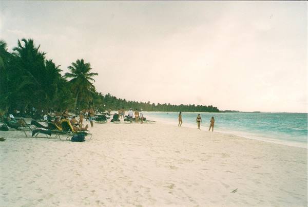 Tourists on loungers under palms, three women walk on white sand
