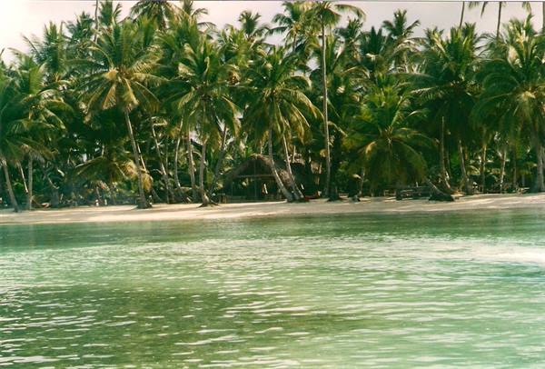 SAONA