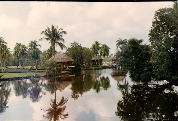 Thatched huts among palm trees reflected in still water, cloudy sky