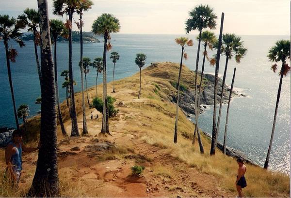 Tourists among sugar palms on Promthep Cape's rocky hill, blue sea