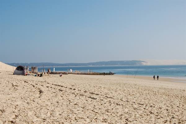 CAP FERRET