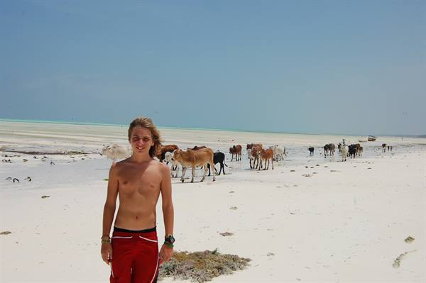 Boy in red shorts on white beach with cattle herd and turquoise sea