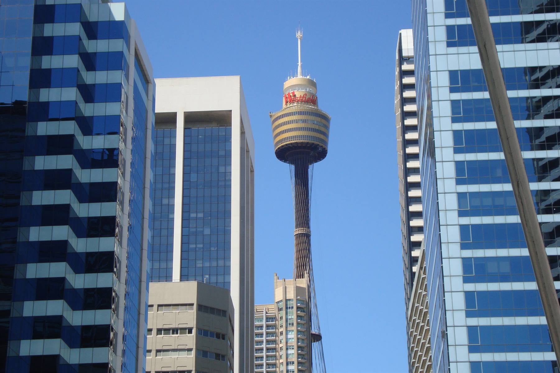 Sydney Tower rises among blue glass skyscrapers under a clear sky
