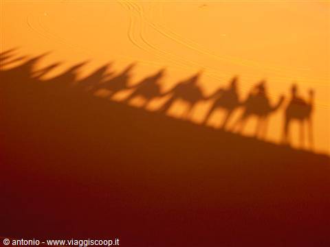 shadows in the desert