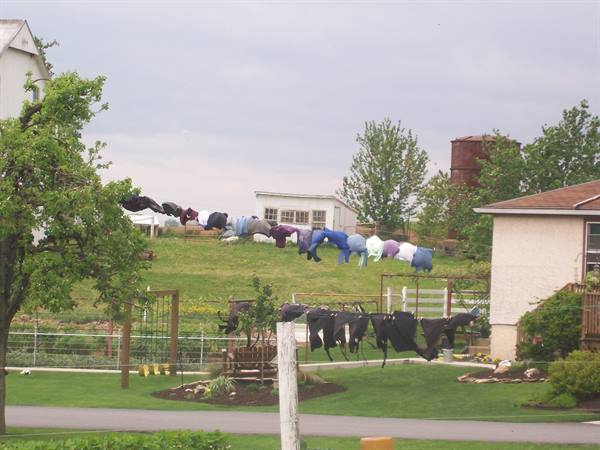 Dutch County,Amish laundry