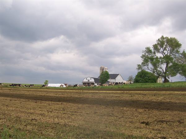 Dutch County,farm