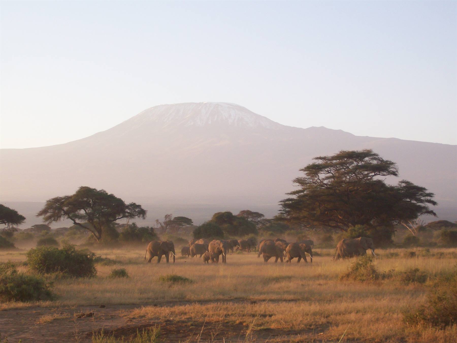 Amboseli(Kenya) and Kilimanjaro(Tanzania)