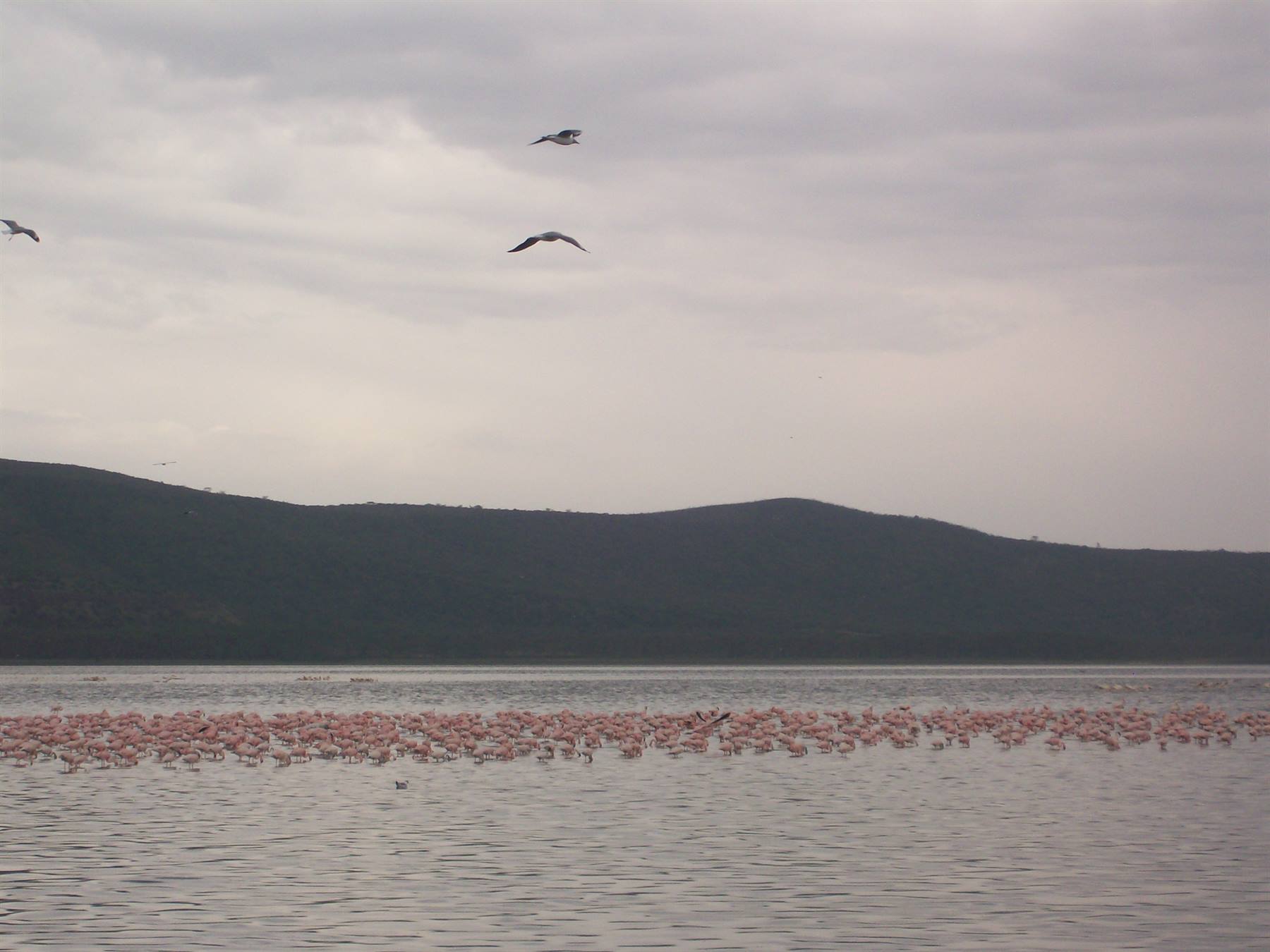 Nakuru