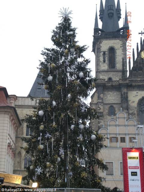 the christmas tree