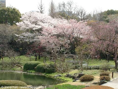 imperial garden