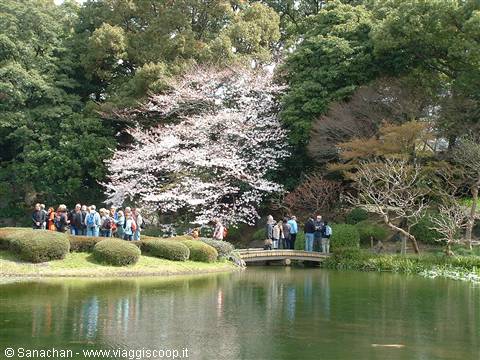 imperial garden