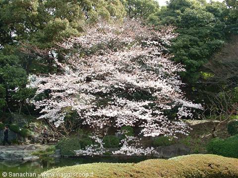 imperial garden