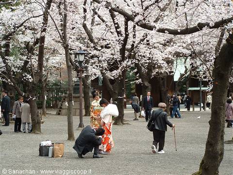 how beautiful the girls in kimono were...